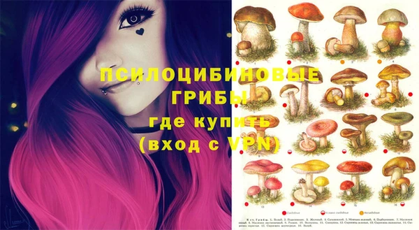 ECSTASY Михайловск