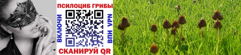 Галлюциногенные грибы мухоморы  Купить  Октябрьск 